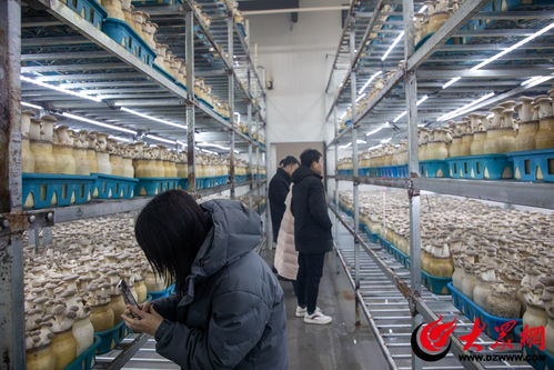 青島西海岸新區(qū)打造農(nóng)產(chǎn)品區(qū)域公用品牌，全國(guó)媒體采風(fēng)活動(dòng)啟幕