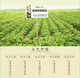 三萬元撬動鄉(xiāng)村致富夢 一塊地如何孕育出兩大產(chǎn)業(yè)奇跡