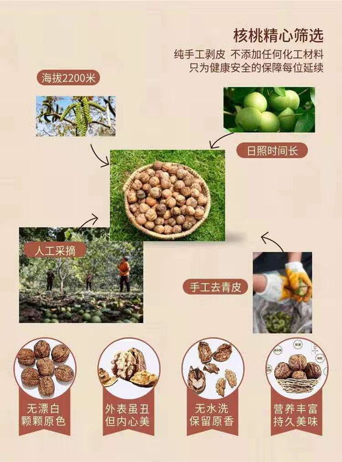 限時瘋搶！網紅琥珀核桃僅售19.9元，酥脆香甜引爆味蕾