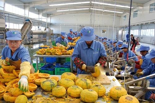 初級加工農產品與日用百貨 從田間到生活的實用連接