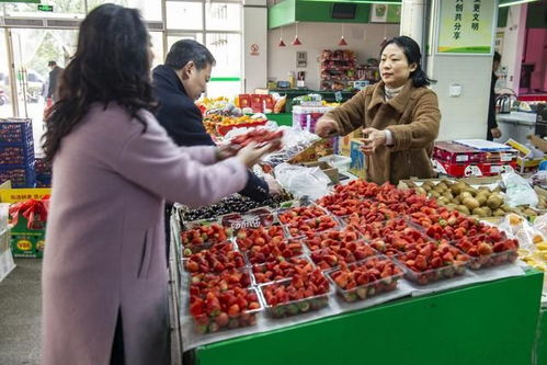 實體農貿市場為何在互聯網買菜時代屹立不倒