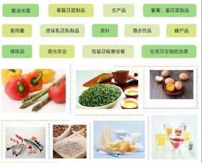 鼎白 綠色生活創領者，第十八屆中國消博會上煥發日用百貨新活力